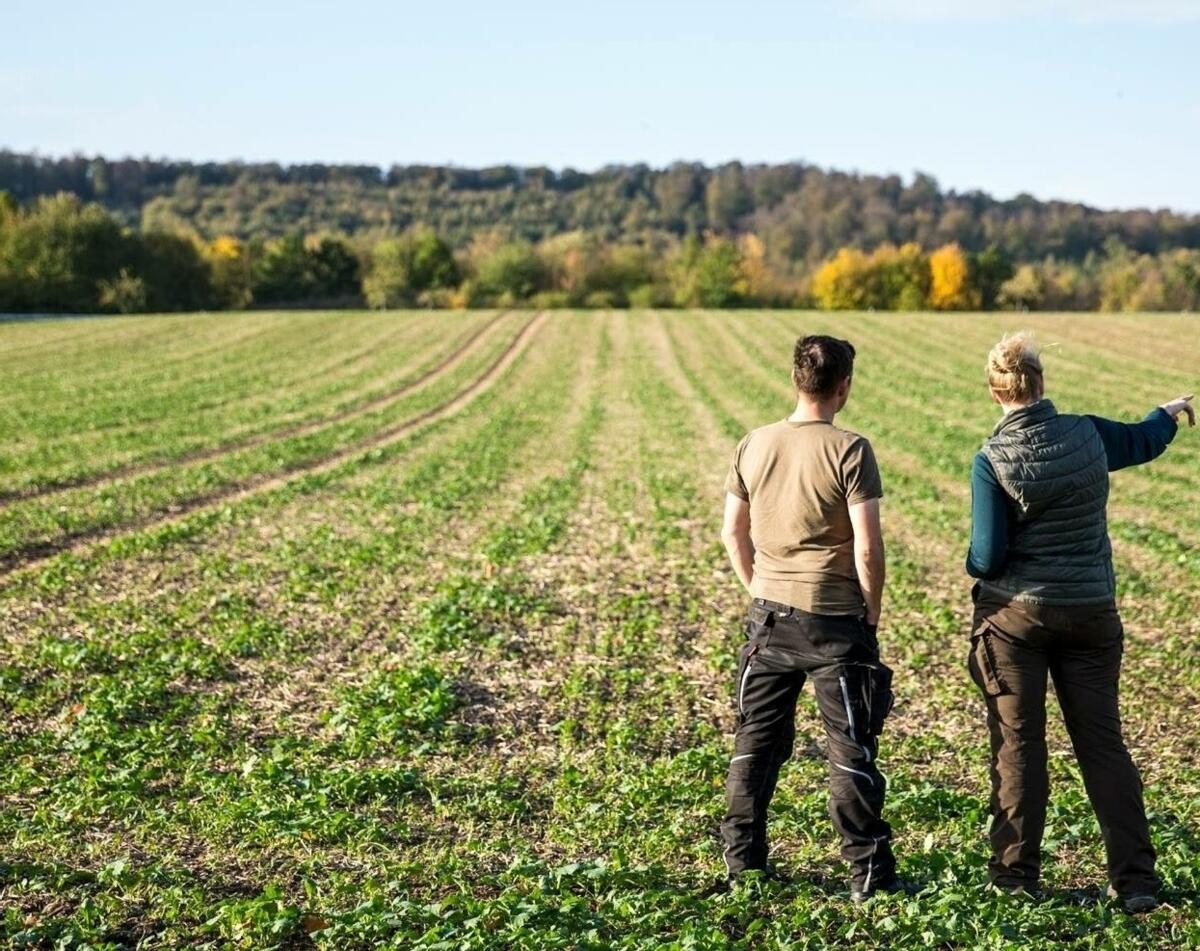 Als Ehepartner oder als Ehepartnerin trägt man das Betriebsrisiko automatisch mit. Bei einer aktiven Beteiligung verbessert ein Anstellungsverhältnis ni...