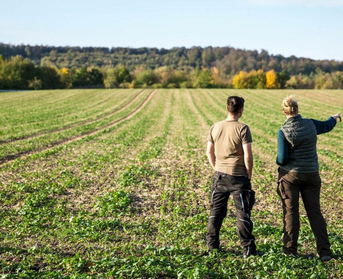 Le ou la conjoint·e partage automatiquement le risque de l’entreprise. En cas de participation active, un contrat de travail améliore non seulement nota...