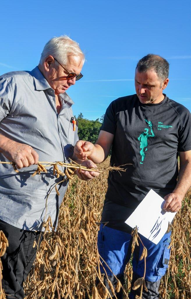 Visite de culture de Gérald Cantin, conseiller Landor, et observation du soja bio de Michel Werro à Breilles (FR). 