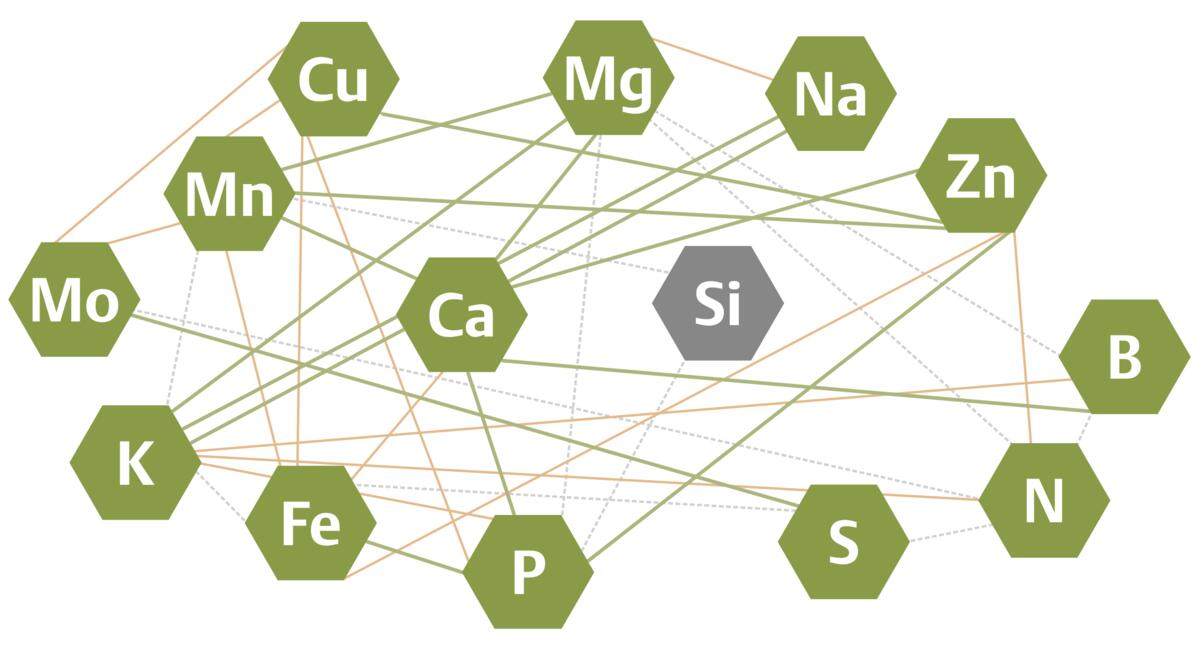Das Spiel mit den Pflanzennährstoffen