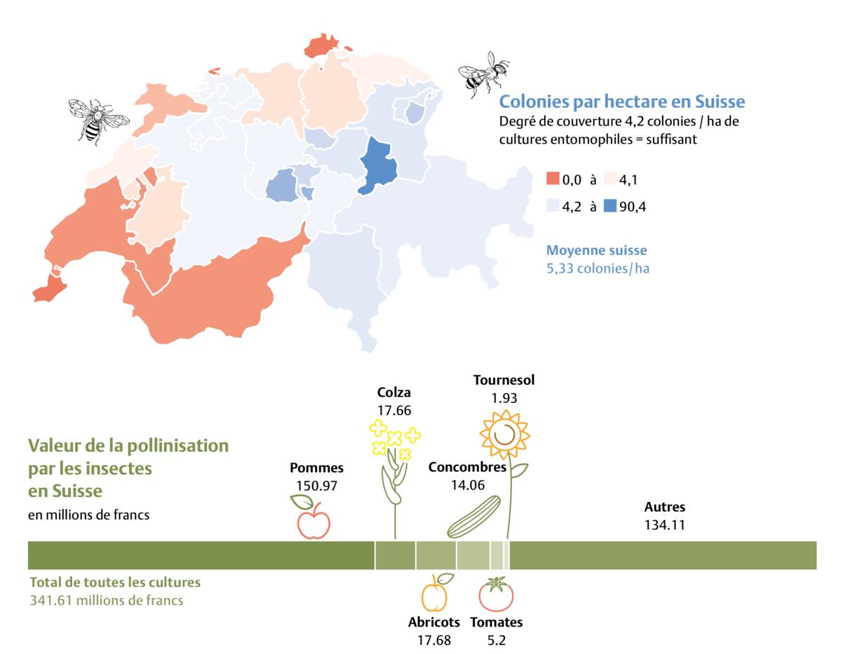 Remarque : les surfaces rouges ne signifient pas que la valeur se situe exactement à 0 colonie. Ce chiffre dépend en outre de la surface, ce qui expliqu...