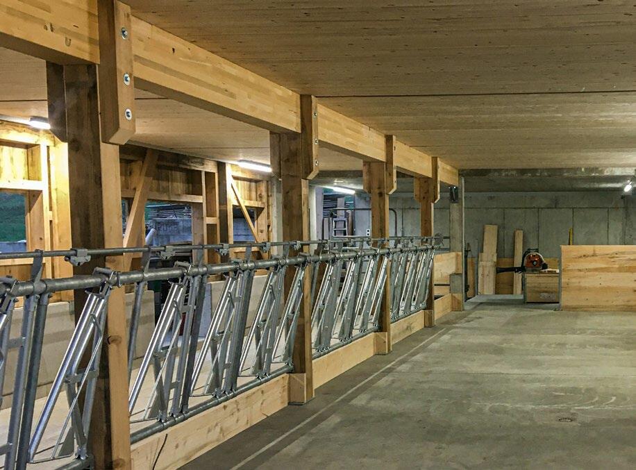 La famille Jegerlehner a utilisé 200 m 3 de bois de sa propre forêt et 100 m 3 de bois de construction de la région (lamellé-collé, bois transformé) lor...