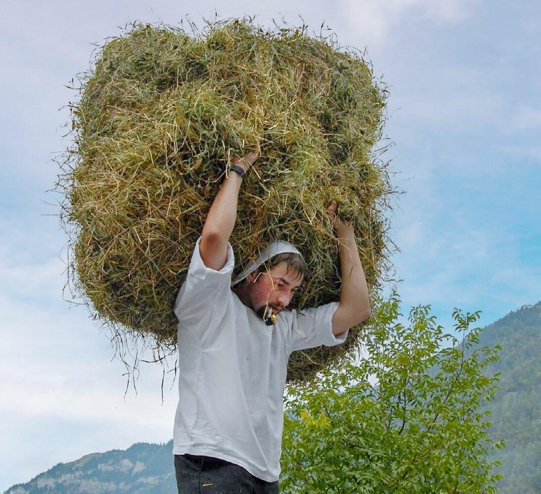 Beim Heuen schützt die Kapuze den Nacken vor den Heunadeln.