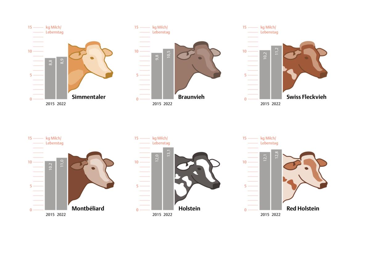 Mehr Milch pro Lebenstag