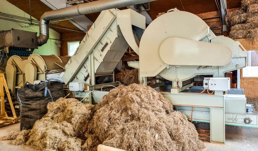 Comme le chanvre d’automne dur se coinçait régulièrement dans la machine, ce qui nécessitait des réparations, Martin Klöti mise désormais sur des machin...