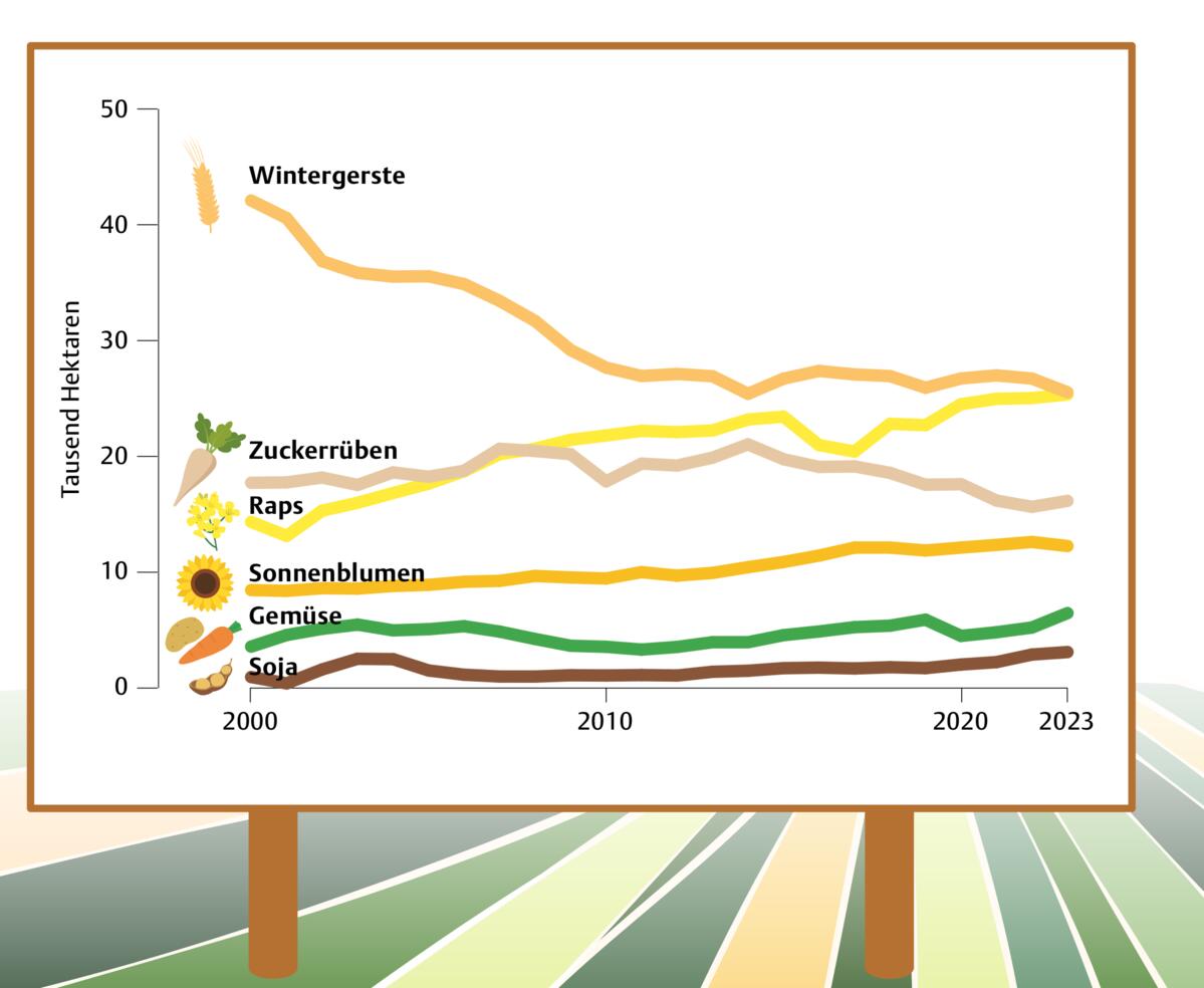 Quelle: Hochrechnung erster, hyperprovisorischer AGIS-Daten (Direktzahlungsdaten des BLW).