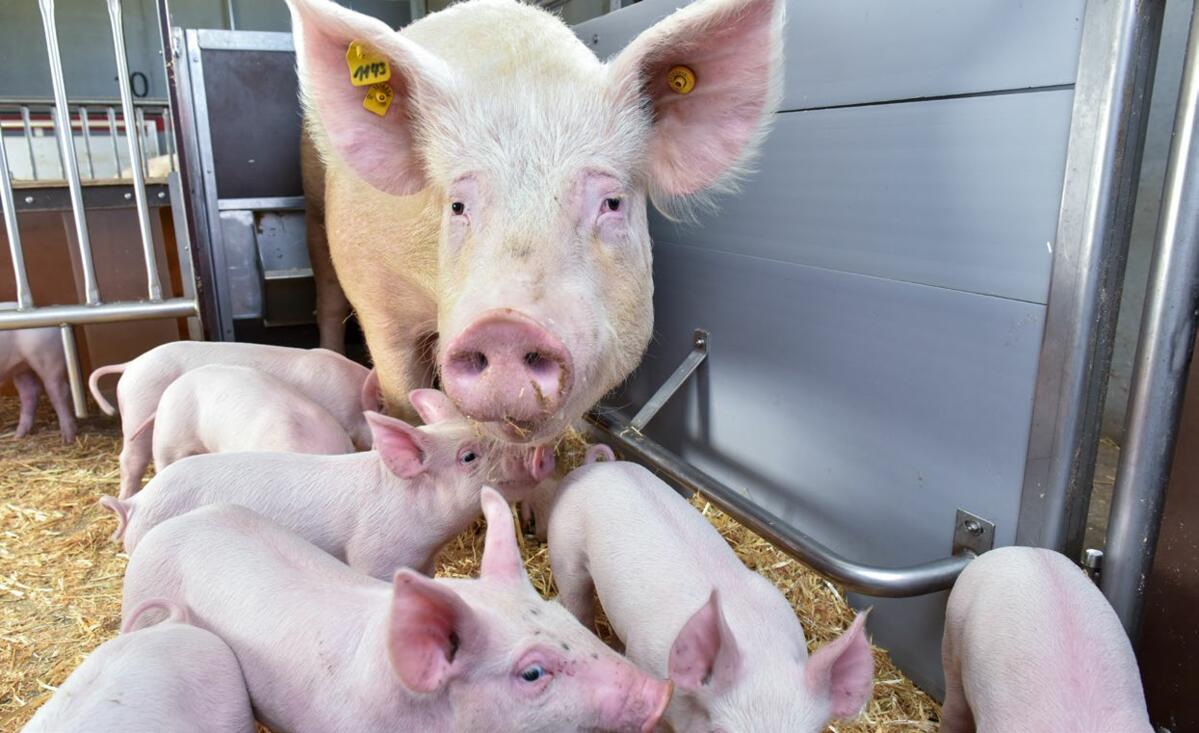 Grâce aux différentes coopérations, la recherche UFA est menée pour les acteurs du terrain.