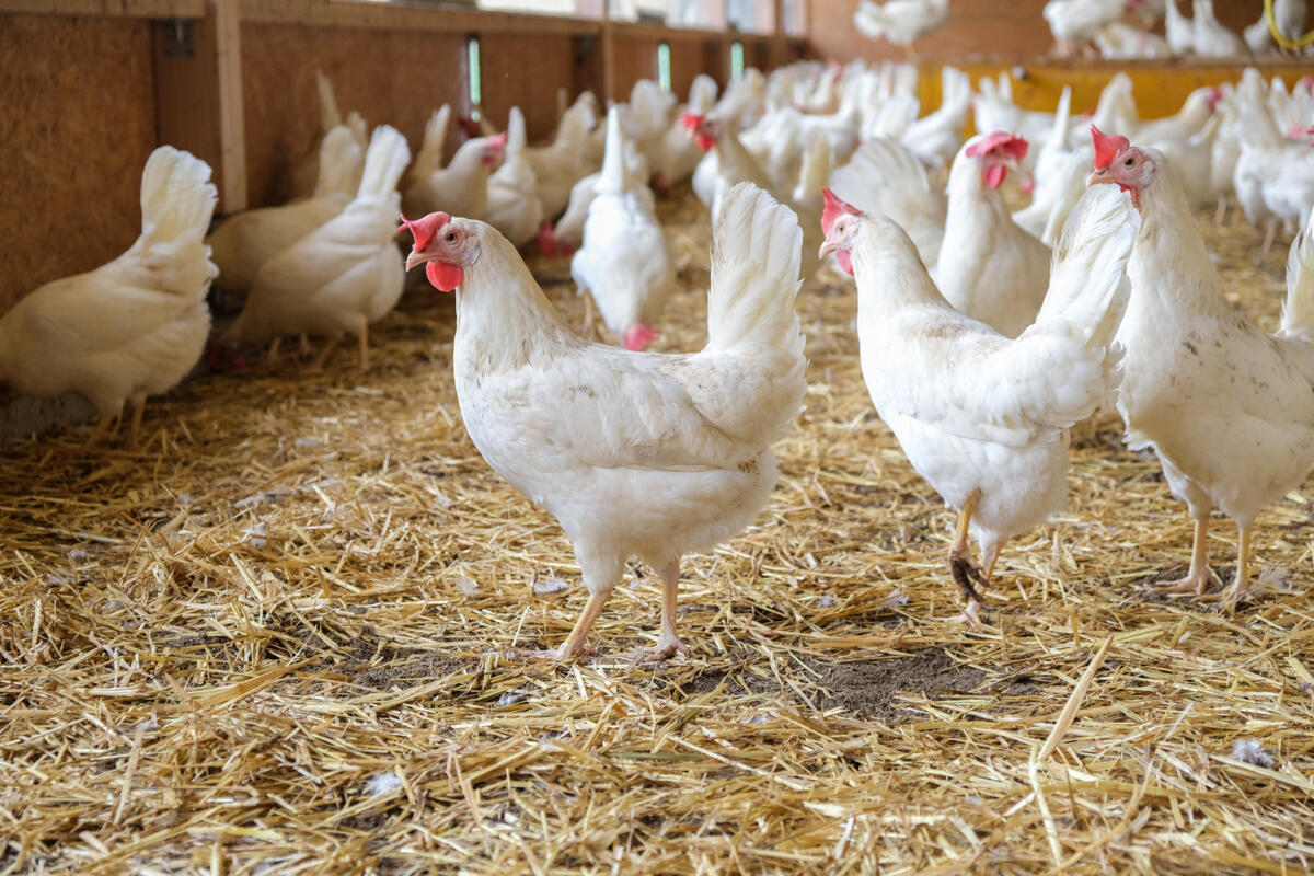 Management verbessern dank Datenerfassung