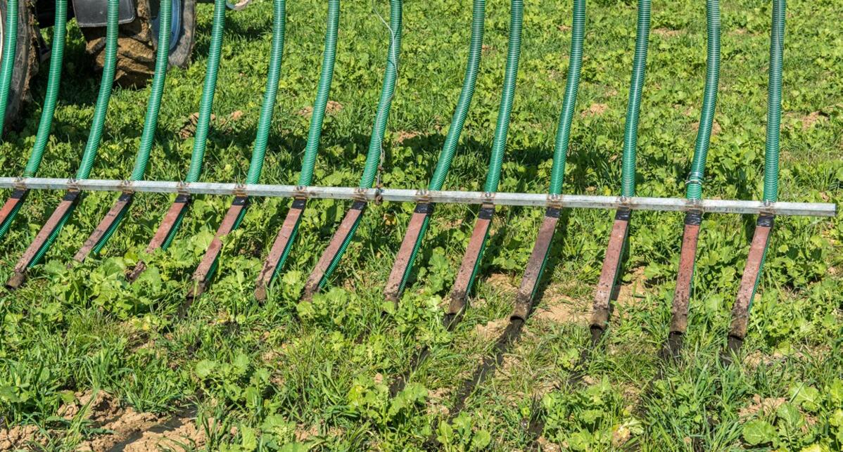 A partir du 1 er janvier 2024, l’obligation d’épandre avec des pendillards s’applique dans toute la Suisse.