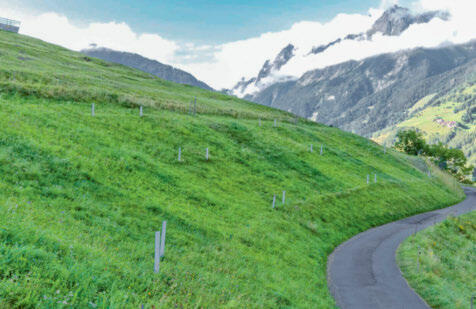 Versuch zu den Auswirkungen von Schnittfrequenz und Düngungsverfahren auf einer Bergwiese in Orsières. 