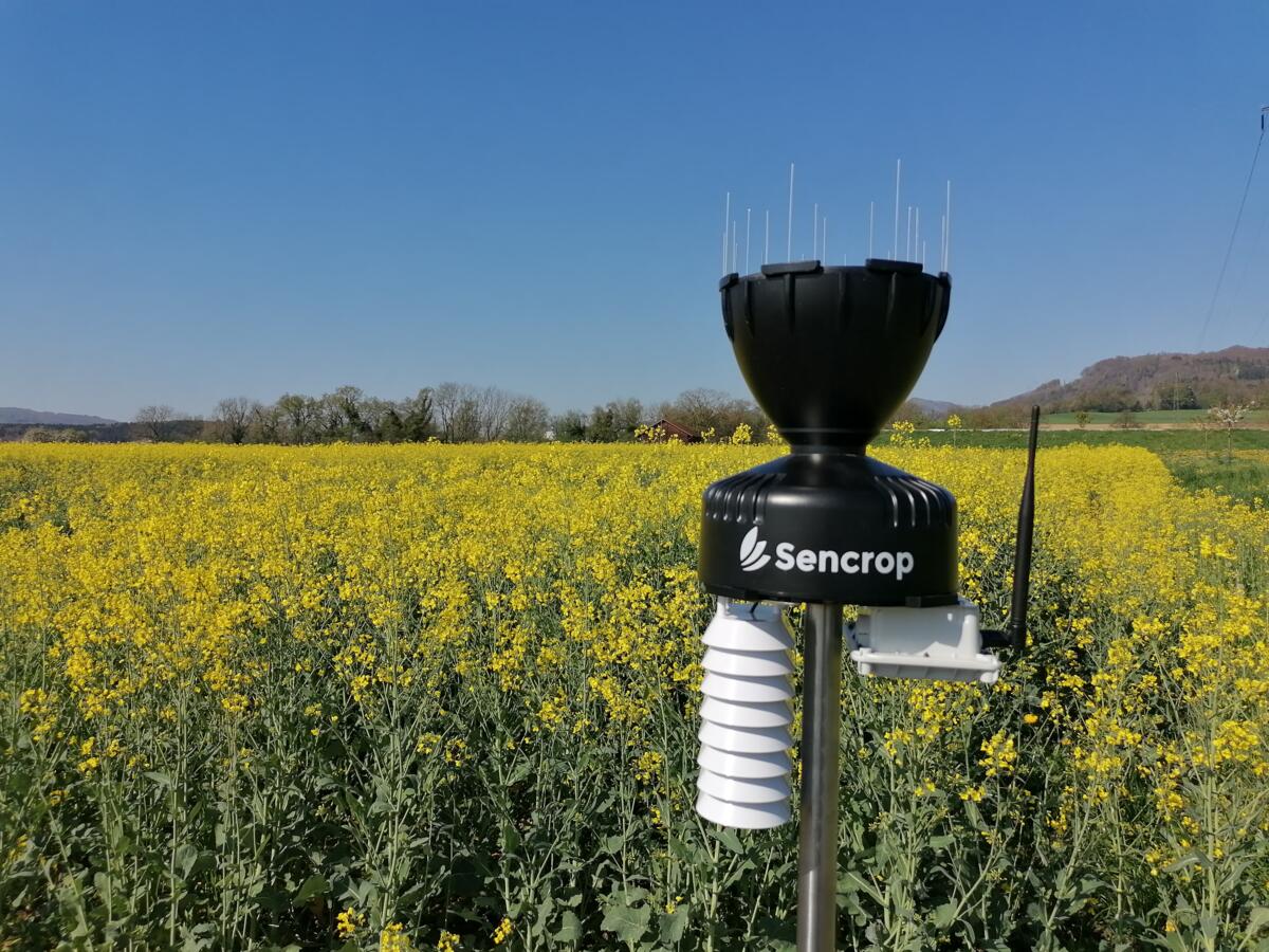 Sencrop: Réaliser des prévisions météorologiques très localisées est une opération complexe, car celles-ci sont également influencées par les conditions...