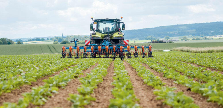 Mit der Kombination aus Hacken und Bandspritzen kann die Herbizidmenge reduziert werden. 