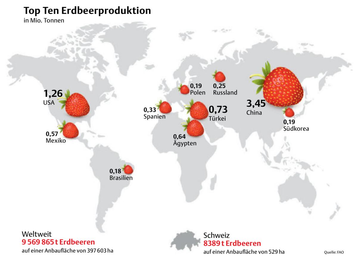 Erdbeeranbau weltweit und Schweiz