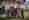 alt_text