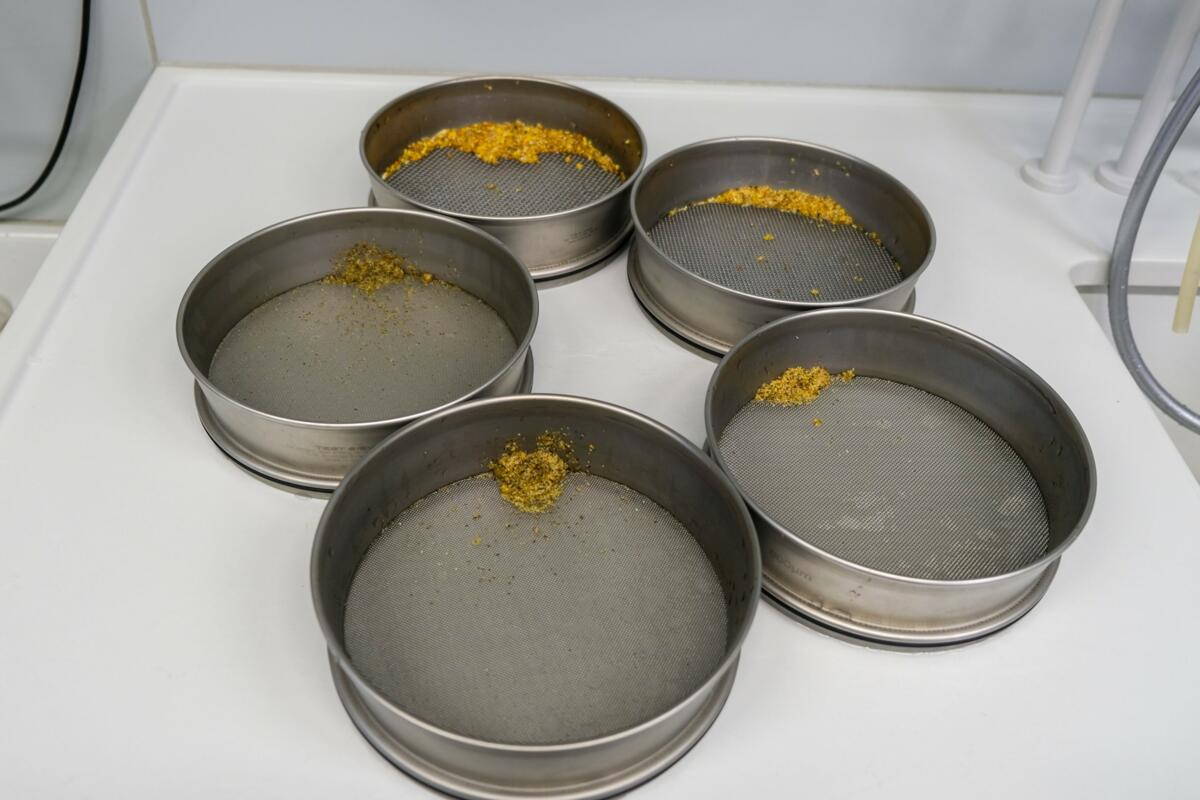 Einzelne Fraktionen nach der Nass-Sieb-Analyse. Diese werden danach getrocknet und zurückgewogen. 