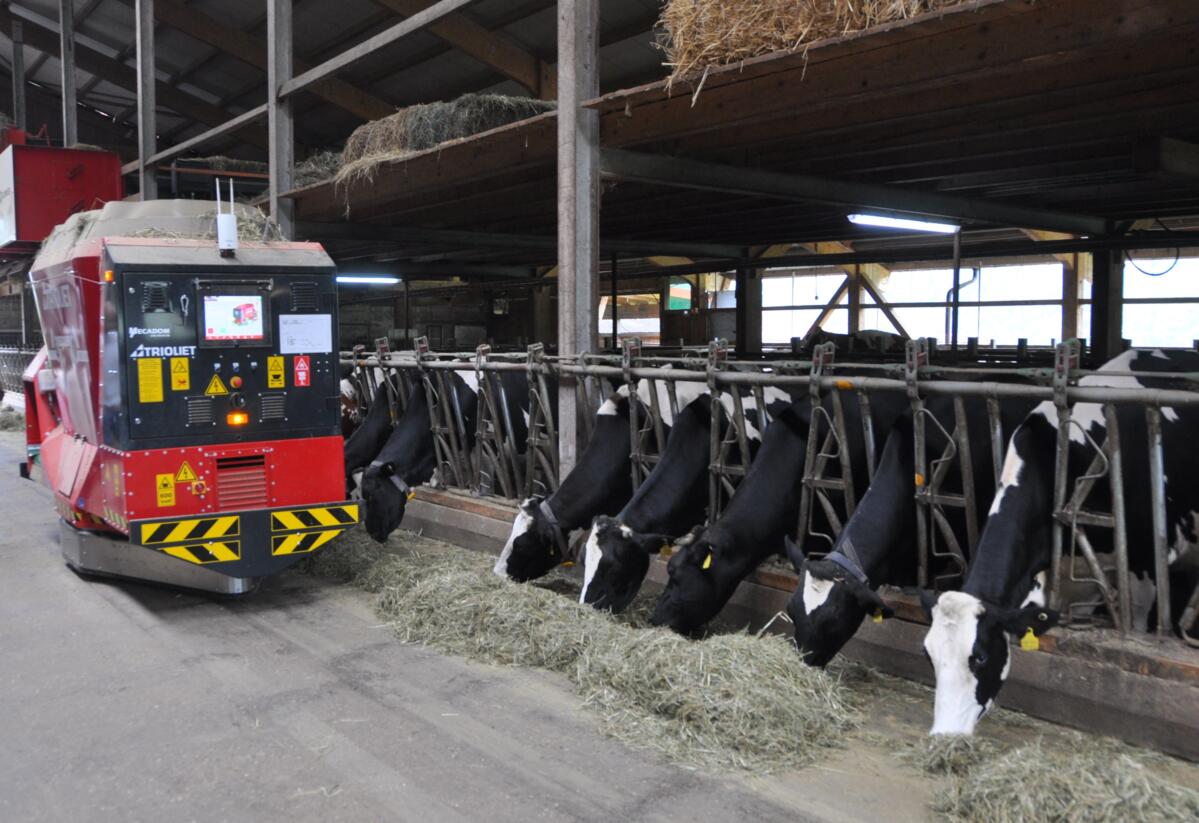 Der elektrische Roboter Triomatic WB2 – 300 ist mit zwei Vertikalschnecken ausgestattet und kann auch Trockenrationen mischen.