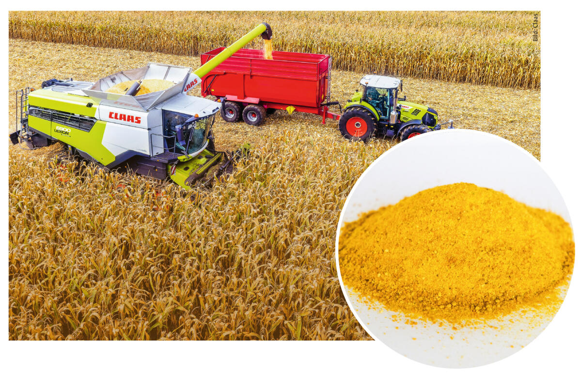 Gluten de maïs : un coproduit de la production d’amidon à partir du maïs.