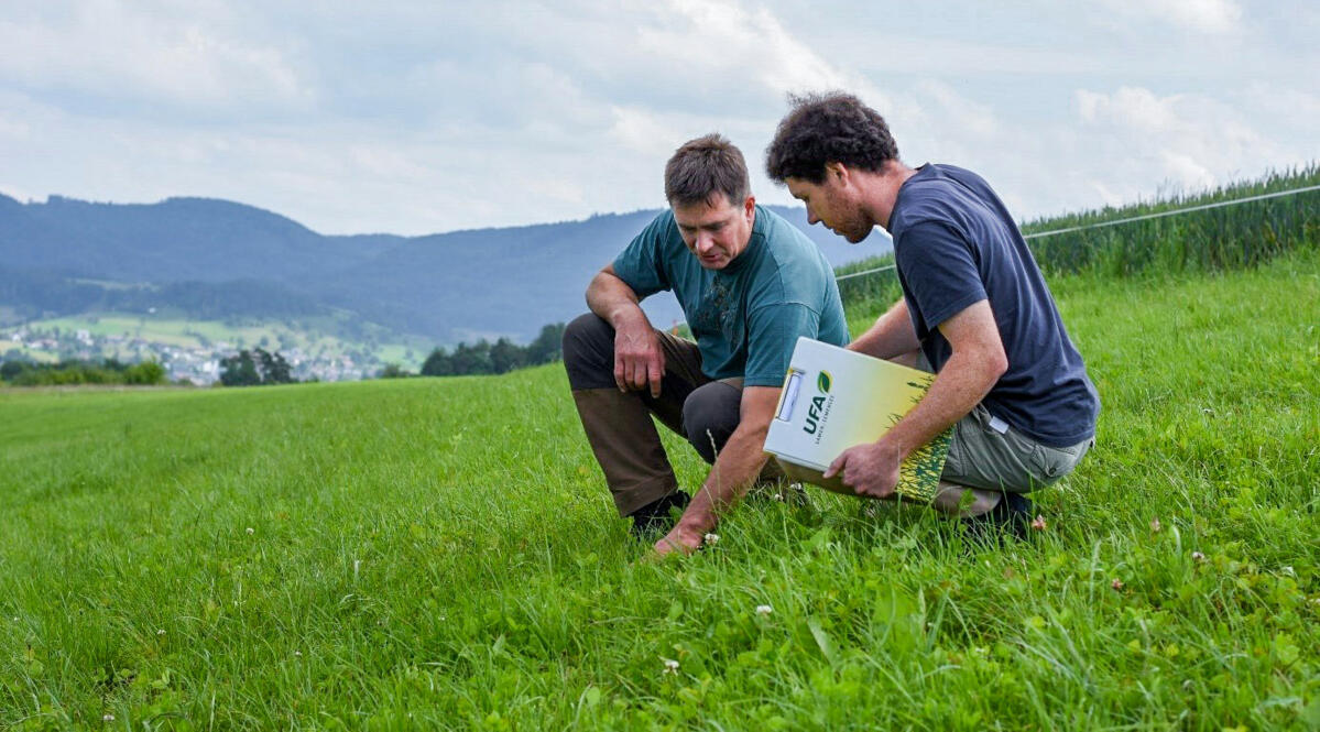 Daniel Amsler (à gauche) et Simon Rothenbühler (à droite) sur le pâturage des vaches.
