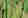alt_text