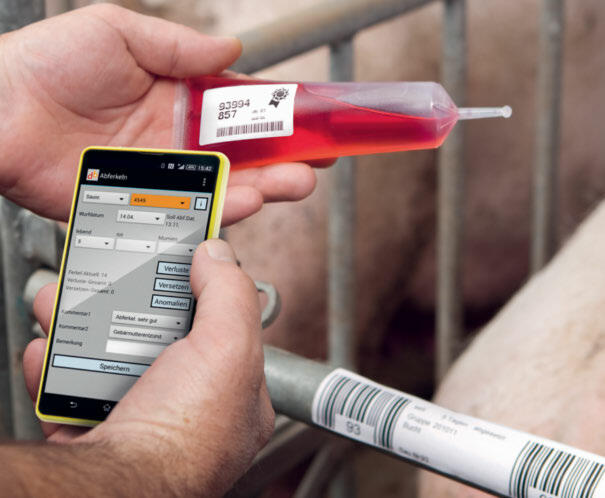 Einfache Datenerfassung via Barcode im Stall mit Solo-Mobil. 