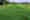 alt_text