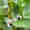 alt_text