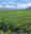 alt_text