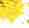 7649226_image_0_17.jpg
