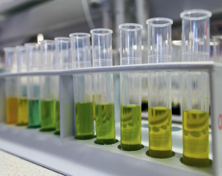 Aus Bodenproben vom Feld werden im Labor Nährstoffe wie Phosphor, Kalium und Magnesium extrahiert.