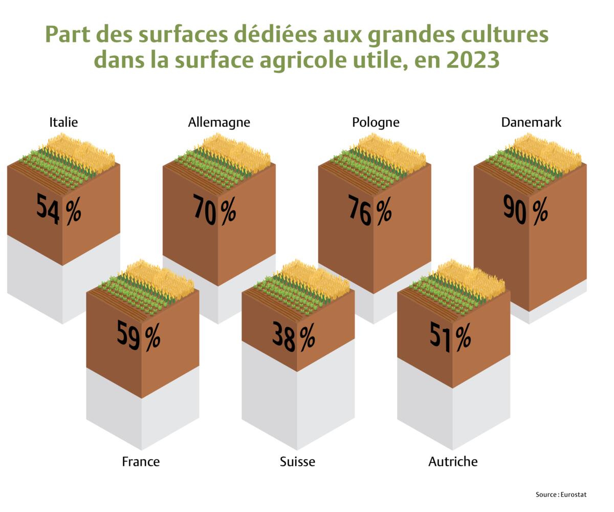 La proportion de surfaces dédiées aux grandes cultures