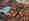 alt_text