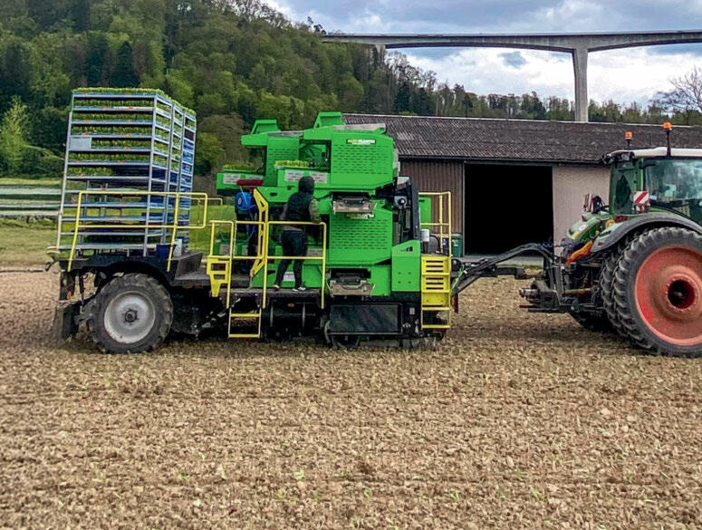 Rationelle Rübenpflanzung: In der Westschweiz hat eine Gruppe von Landwirten im vergangenem Jahr ein automatisches Gemüsesetzgerät angeschafft.