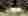 alt_text