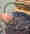 alt_text