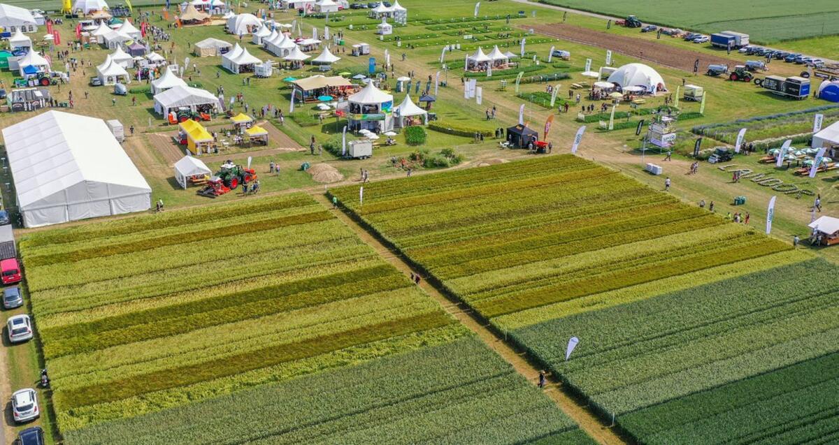 Die Feldtage 2026 sind die grösste Pflanzenbauveranstaltung der Schweiz– ein Treffpunkt für Landwirte, Fachleute, Forschende und alle, die sich für die...