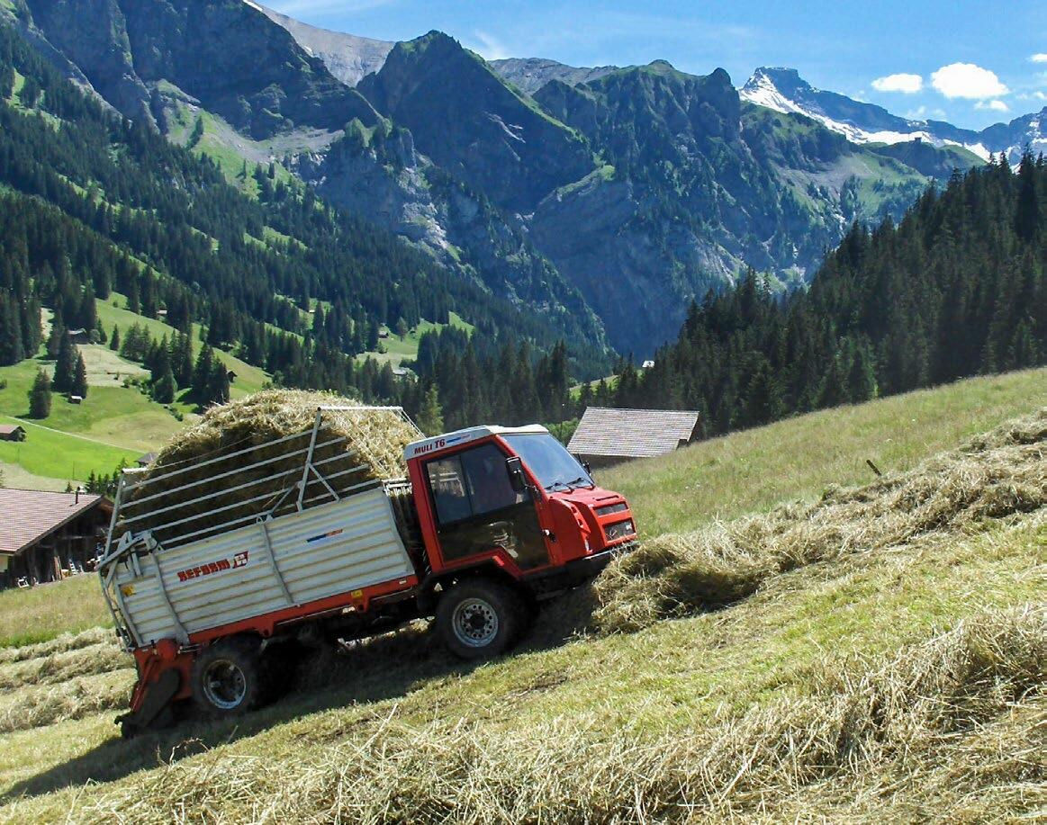 Les machines d’occasion telles que ce transporteur Muli de Reform ne sont pas les seules à être très recherchées parmi les annonces en ligne. Les établi...