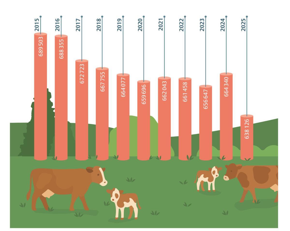 Source : Identitas (état en décembre 2025). Les données d’une année donnée portent sur une période de comptabilisation des naissances allant d’octobre à...