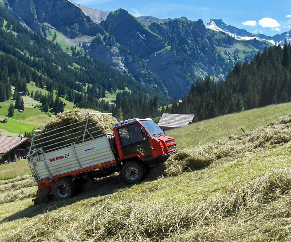 Nicht nur Occasionsmaschinen wie dieser Reform Muli für den Einsatz im Berggebiet sind auf Onlinemarktplätzen gefragt. Auch Werkbänke, Schubladenschränk...