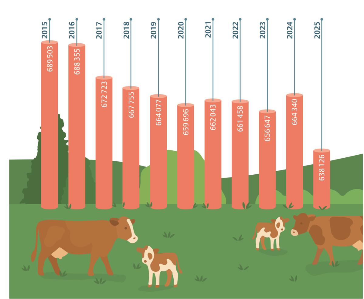 Quelle: Identitas, Stand Dezember 2025. Die Daten beziehen sich auf die Berechnungsperiode Oktober bis September. Der Zeitraum 2015 entspricht beispiels...