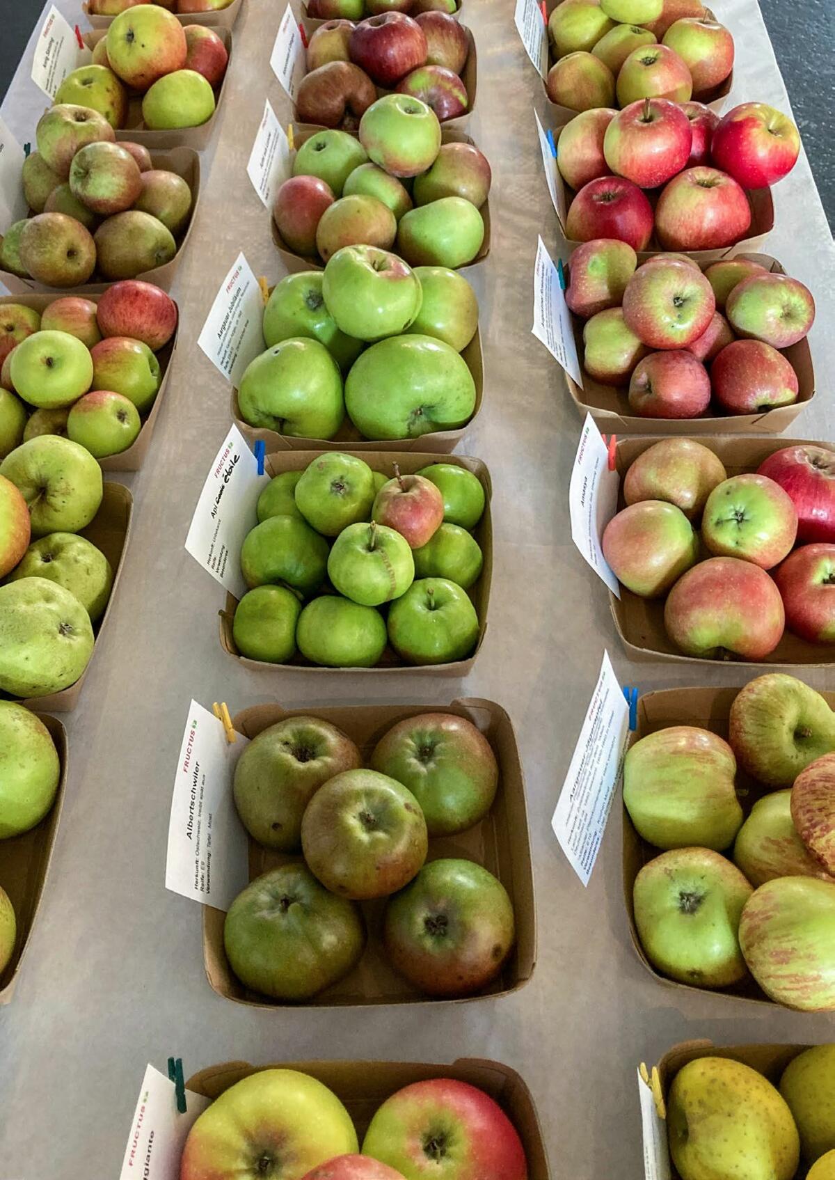 De nombreuses anciennes variétés de pommes ne sont disponibles qu'à l'échelle régionale et il n'en subsiste généralement que quelques arbres.