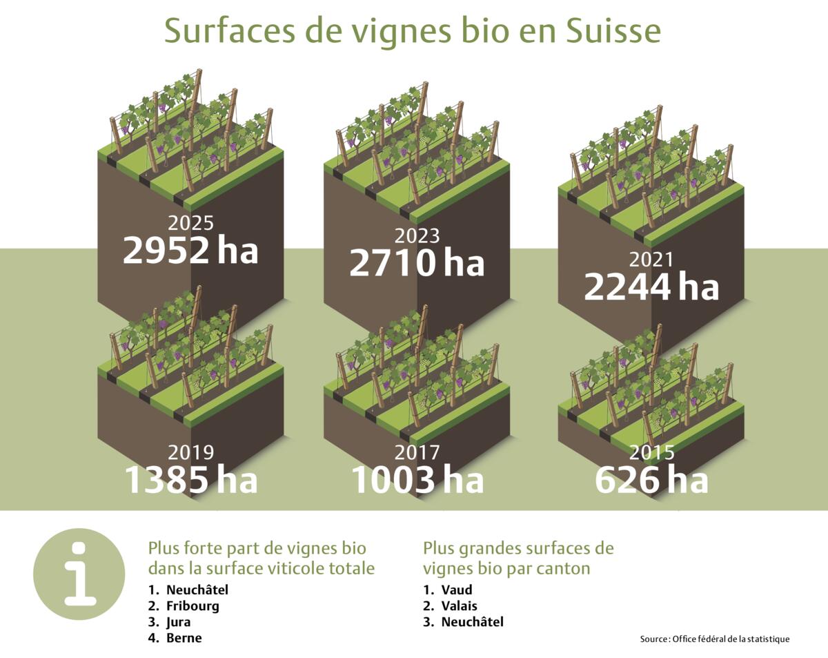 Les vignes biologiques gagnent du terrain