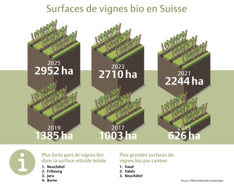 7774719_snip_1787762592367.png