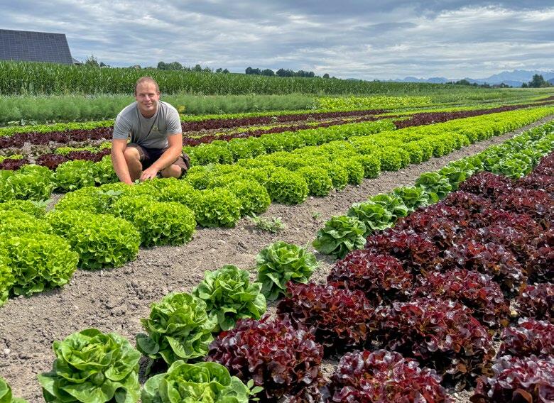 Michael Haab zwischen verschiedenen Salatsorten auf dem Familienbetrieb. Schon sein Vater spezialisierte sich auf Gemüse und Beeren und begann 2006 mit...