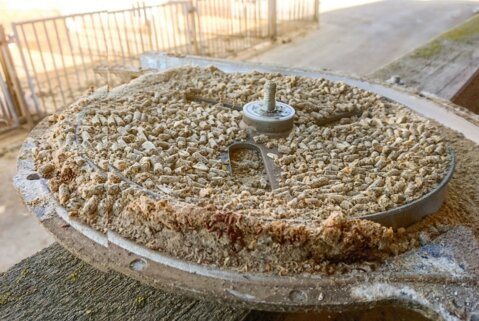 So schmeckt das Futter nicht mehr – beim genauen Betrachten sind verpuppte Fliegenlarven zu sehen.