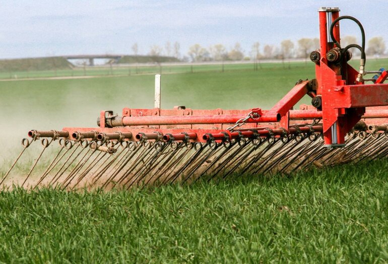 Bio-Mahlgetreide ist weiterhin gefragt.