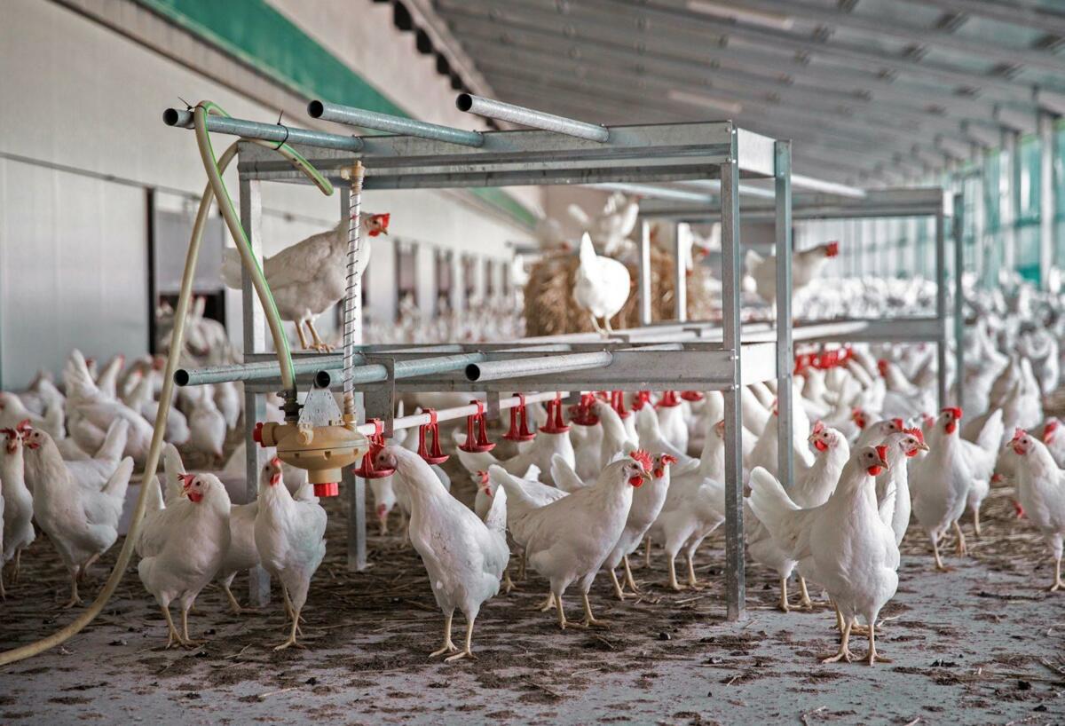 Die Einstallphase ist zeitintensiv, jedoch lohnt sich der Mehraufwand