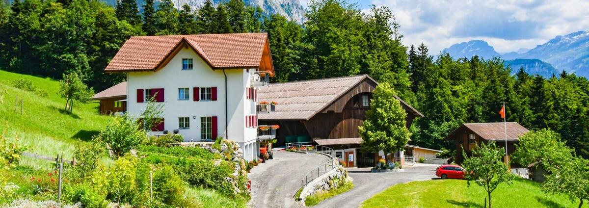 Avant la remise de l’exploitation, le chef d’exploitation sortant et le futur chef d’exploitation doivent réfléchir aux questions liées à leur futur dom...