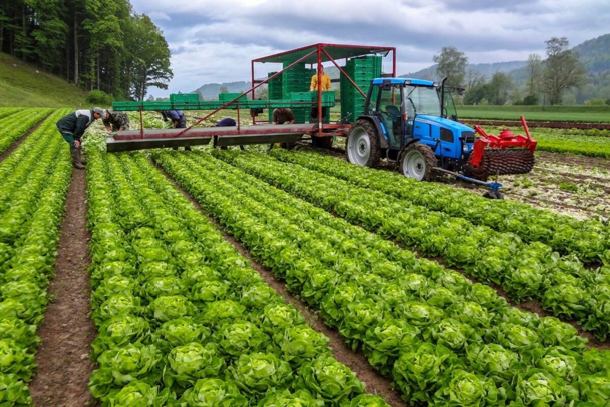 Mit dem Vollkostenprogramm ProfiCost können über 90 Kultur-Varianten berechnet werden.