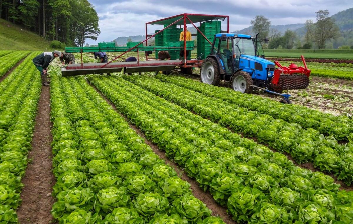 Le programme de coûts globaux ProfiCost permet de calculer les coûts de 90 cultures différentes.
