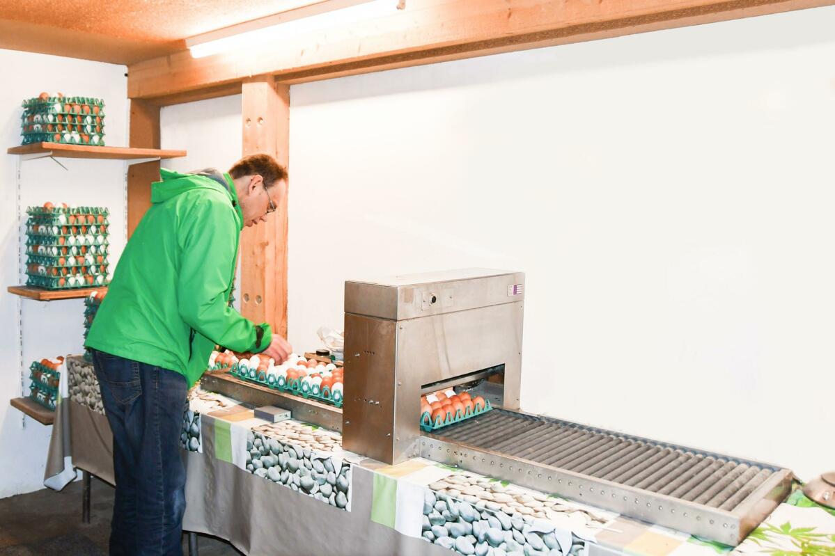 Adrian Burri beim Datieren der Eier